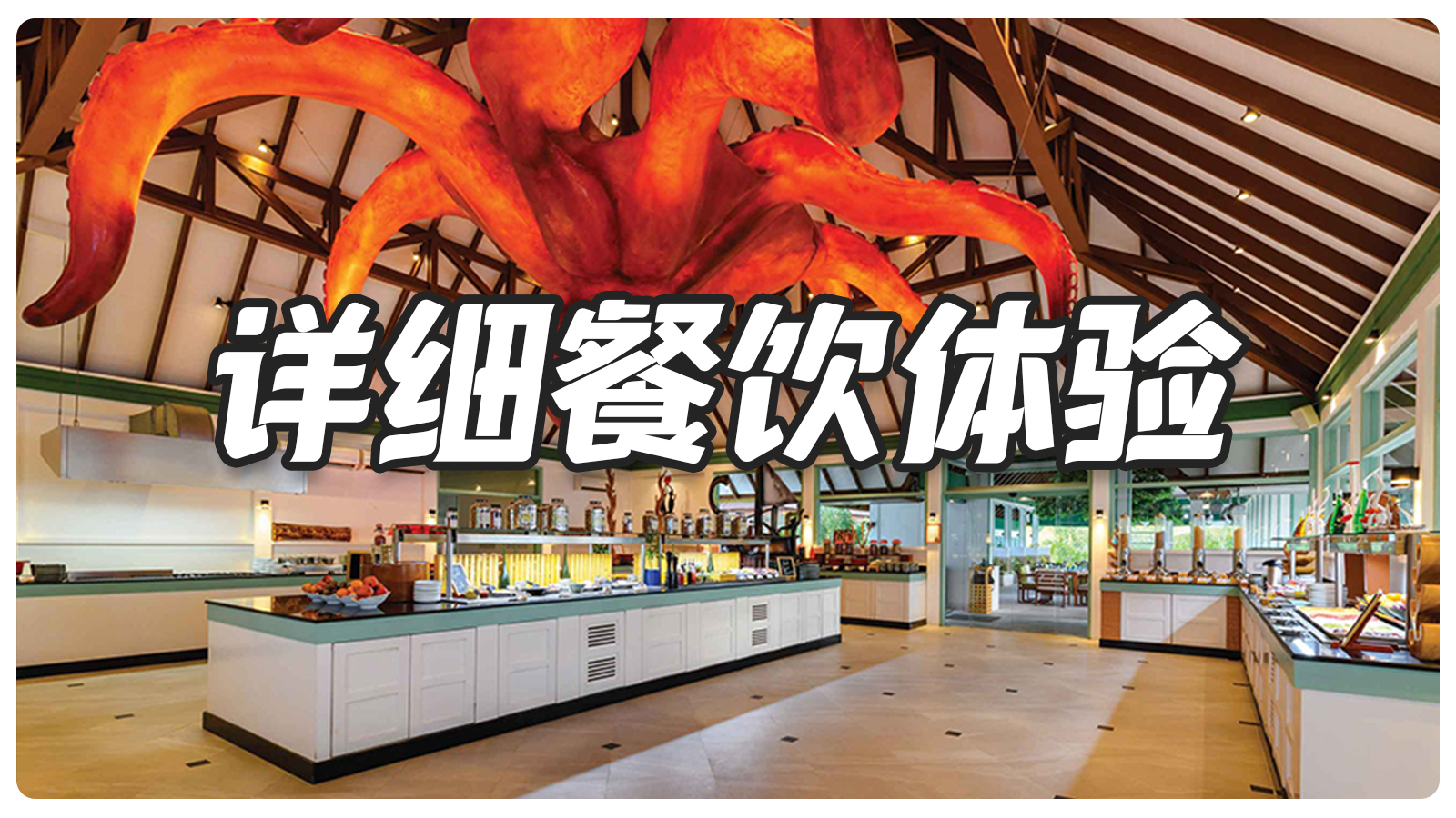 详细餐饮体验
